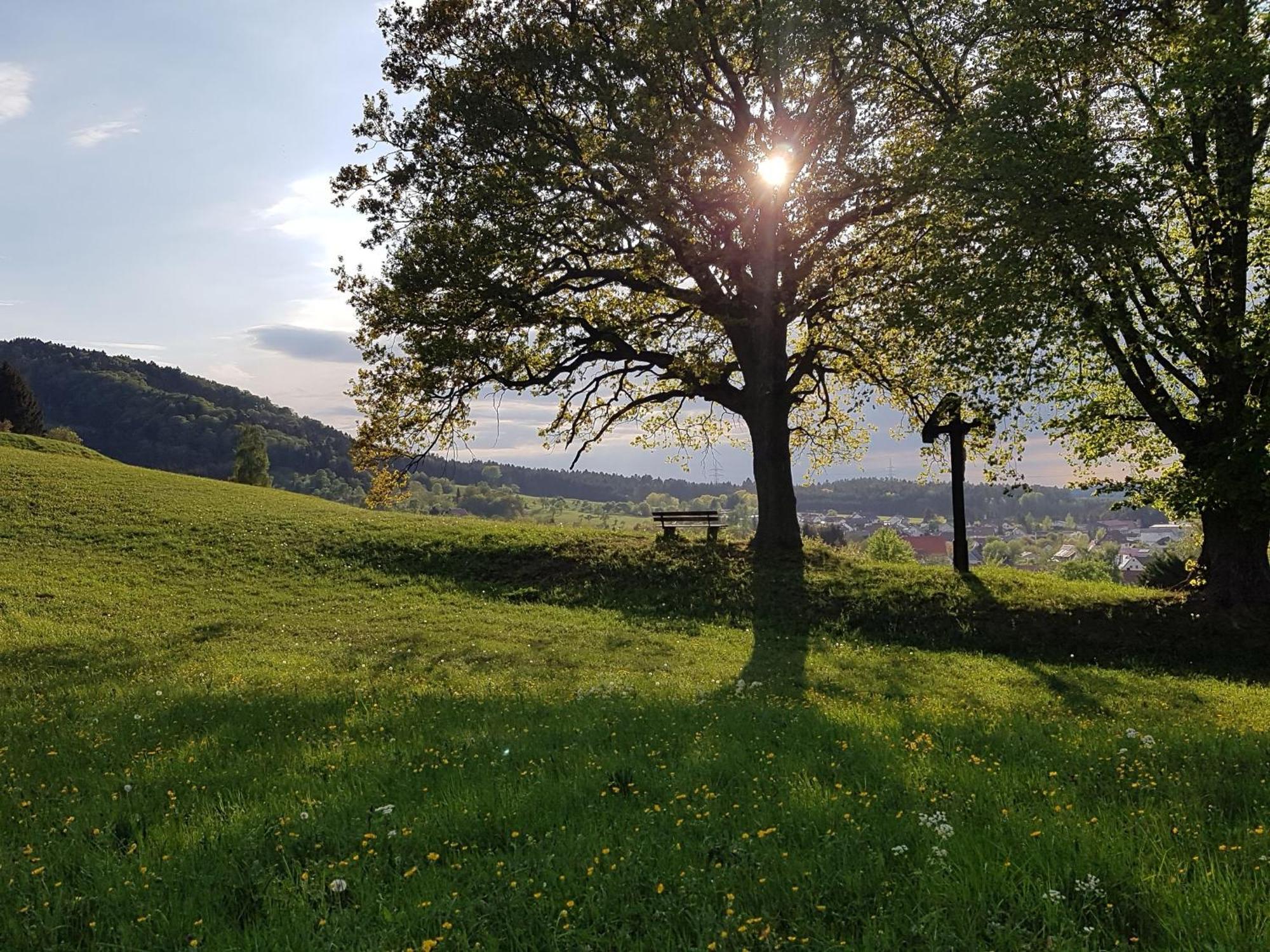 Ferienhaus Rosswangen Balingen Eksteriør bilde